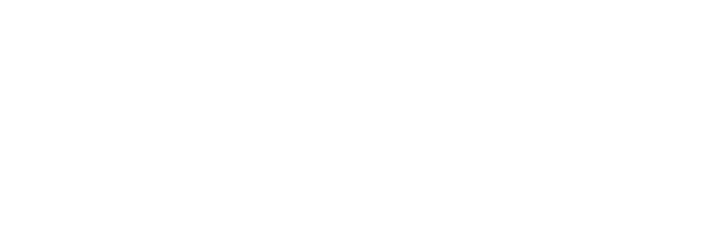 NEESSEN Logo in Weiß